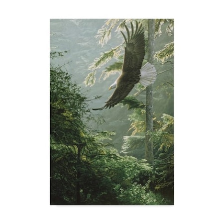 Ron Parker 'Morning Flight Eagle' Canvas Art,12x19